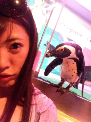 Illustration for article titled Japan Has Too Many Penguin Bars
